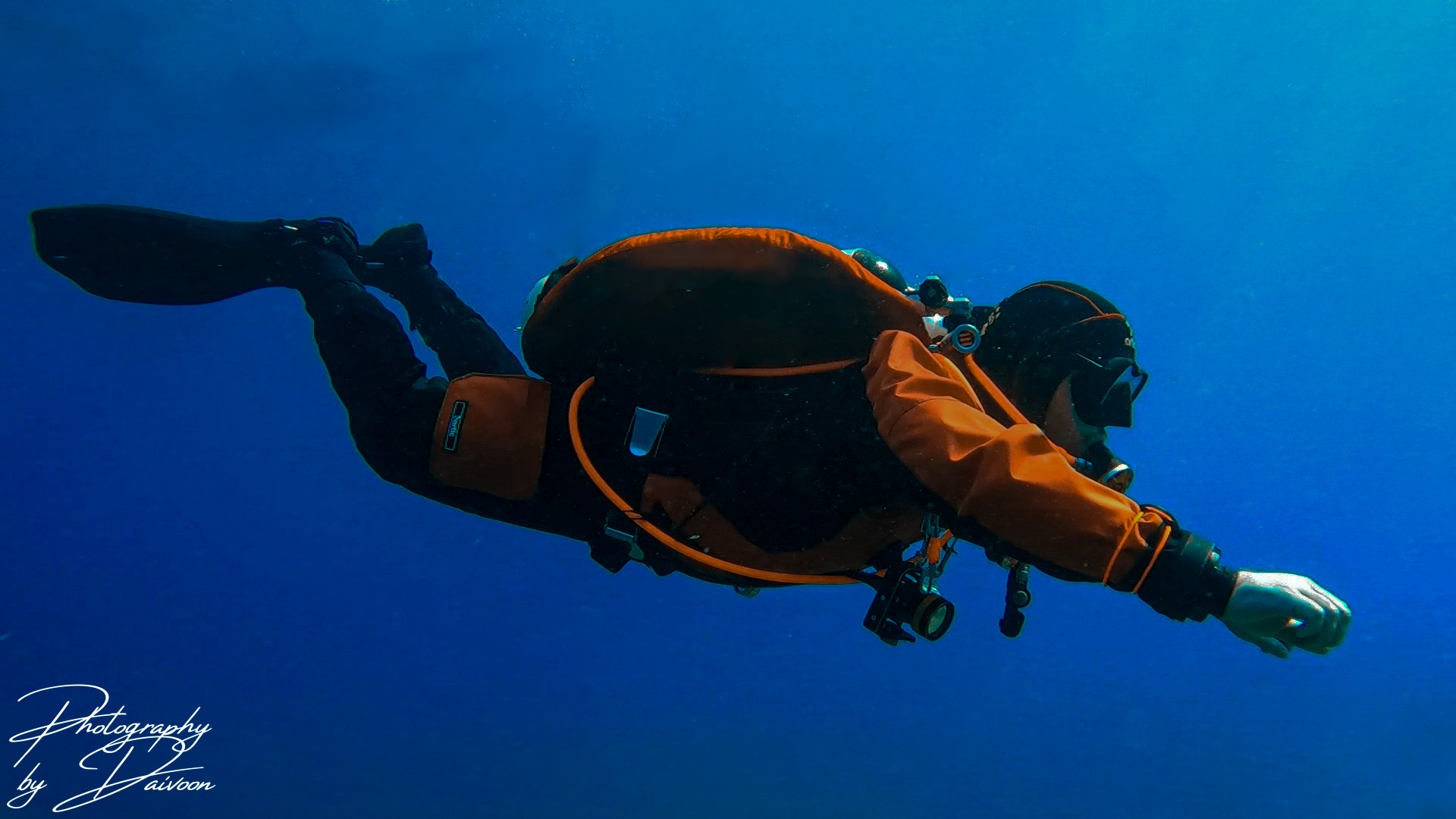 Dive Training vs. Certification: