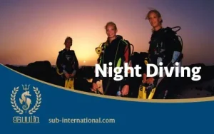 Night-Diving-SUB